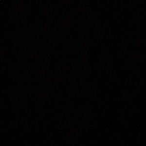 Meet your Posher, Vincent